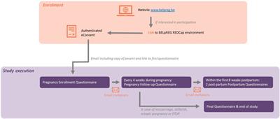Development and design of the BELpREG registration system for the collection of real-world data on medication use in pregnancy and mother-infant outcomes